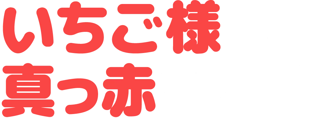 いちご様の真っ赤な本音